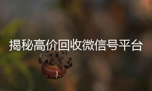 揭秘高价回收微信号平台，让你的闲置账号价值最大化！
