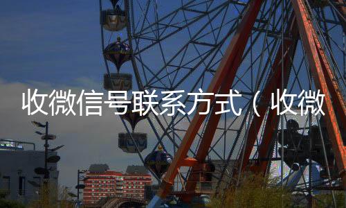 收微信号联系方式(收微信号的渠道)