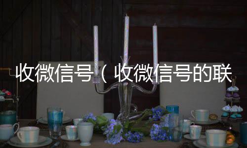 收微信号(收微信号的联系方式)