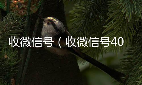 收微信号(收微信号400至1000一个)