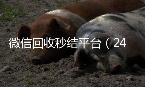 微信回收秒结平台(24小时回收微信秒结平台)
