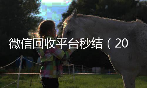 微信回收平台秒结(2020在线回收微信秒结)