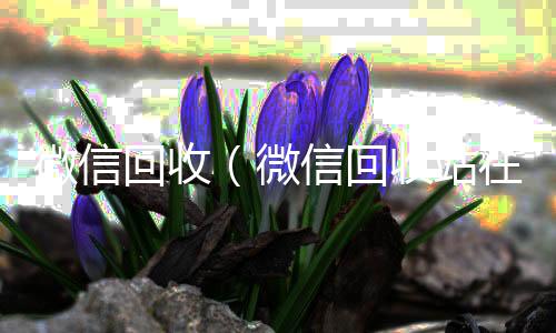 微信回收(微信回收站在哪里找)