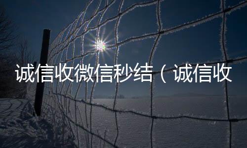诚信收微信秒结(诚信收微信秒结飞牛)