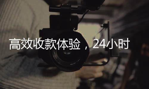 高效收款体验，24小时秒结服务，让您的资金流转更迅速！