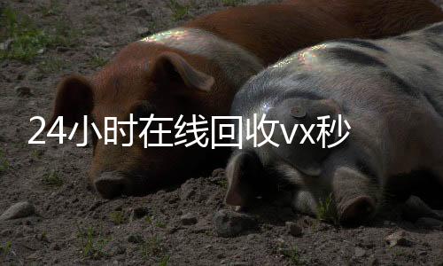 24小时在线回收vx秒结（回收vx秒结联系方式）