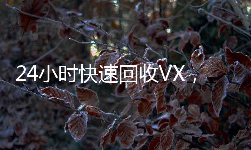24小时快速回收VX，秒结平台让您轻松变现！