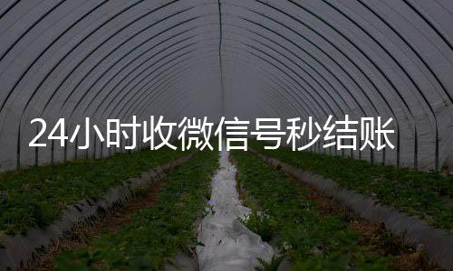 24小时收微信号秒结账（24小时收微信号秒结账平台）